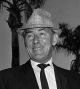 Michael Wilding